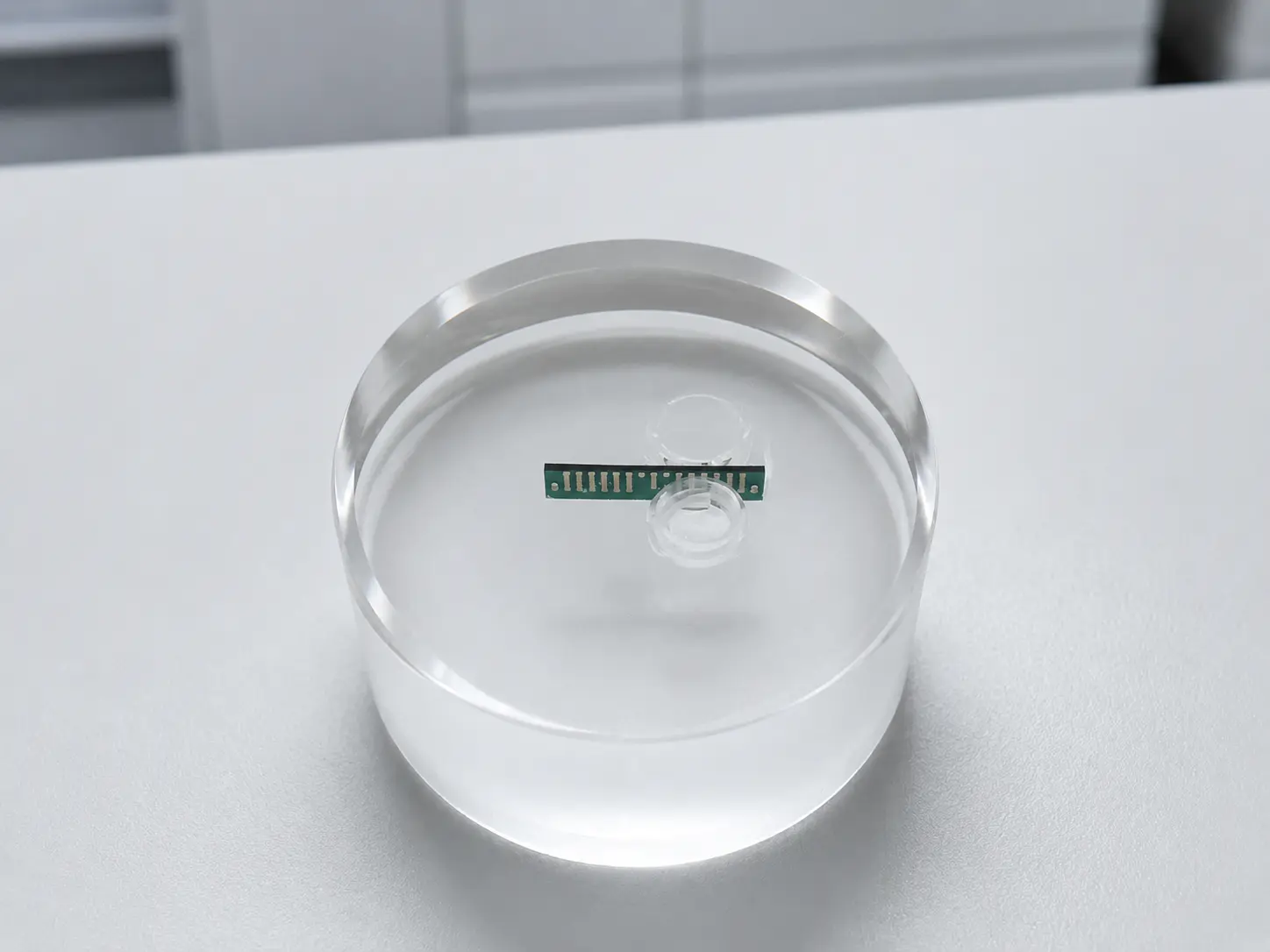 CASE 001 鑲埋好的樣品