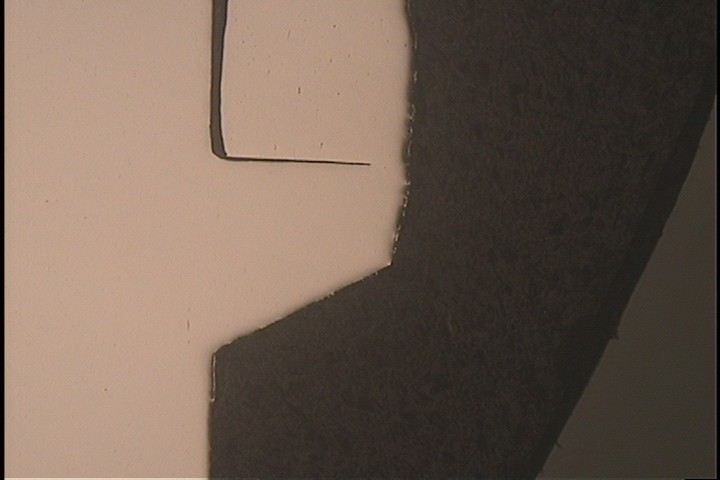 CASE 006 金相組織圖